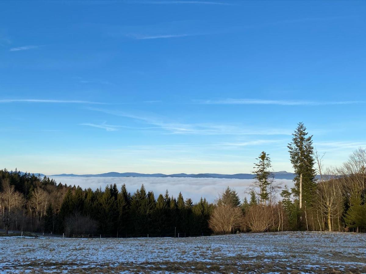 MITTEN im BAYERISCHEN WALD-95m² Wohnung + *NETFLIX* Direkt am Skilift! Schöfweg Exterior foto