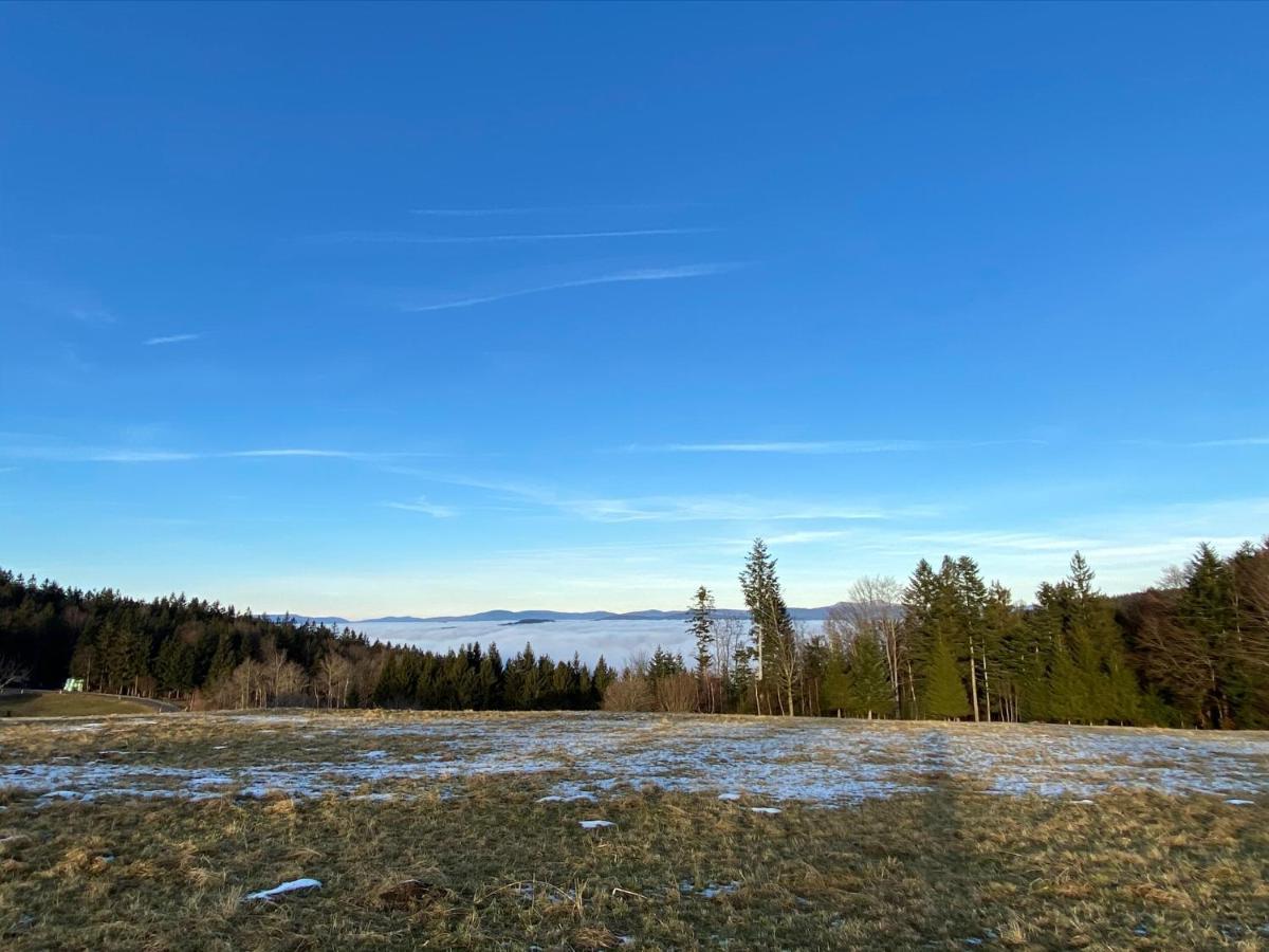 MITTEN im BAYERISCHEN WALD-95m² Wohnung + *NETFLIX* Direkt am Skilift! Schöfweg Exterior foto