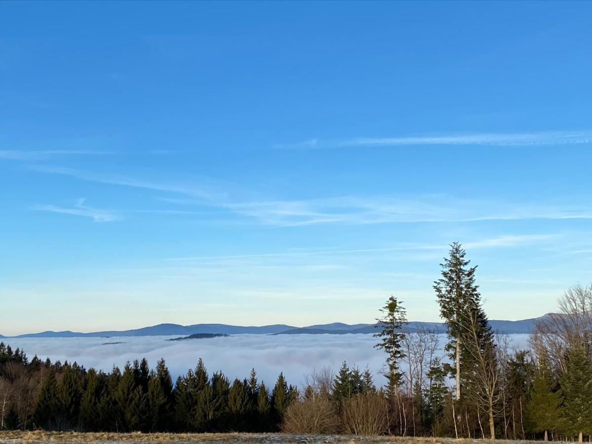 MITTEN im BAYERISCHEN WALD-95m² Wohnung + *NETFLIX* Direkt am Skilift! Schöfweg Exterior foto